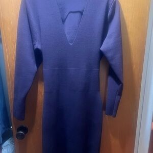 Express Deep Plum Long Sleeve Dress